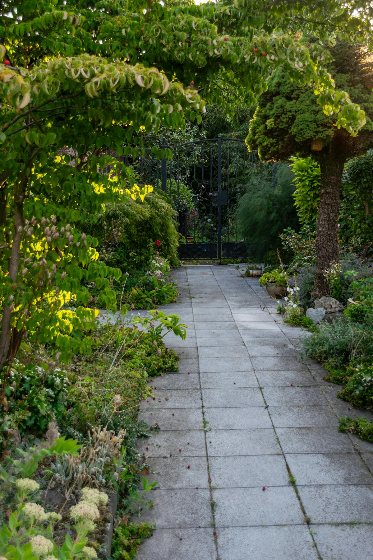 Allée de jardin paysager à Cagnes-sur-Mer